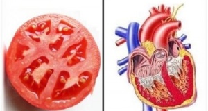 11 élelmiszer, amely Isten ajándéka az embereknek! Ezek az élelmiszerek a szervekre hasonlítanak, nézd a hatásukat!